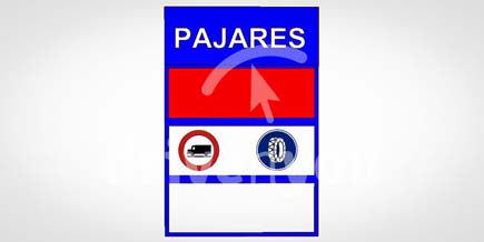 Fotografía de la pregunta 17