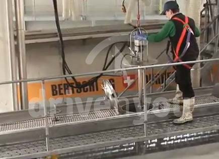 Fotografía de la pregunta 17