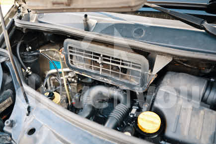 Fotografía de la pregunta 1