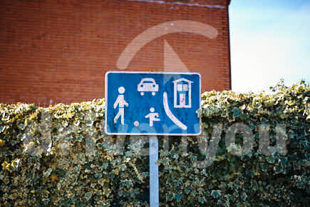 Fotografía de la pregunta 19